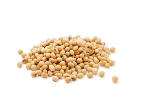 Delicious Wendy’s Breakfast Burrito Price & Ingredients 2025 12 Soy